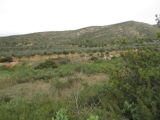 Llanorel 4