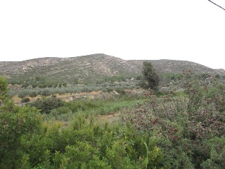 Llanorel 5