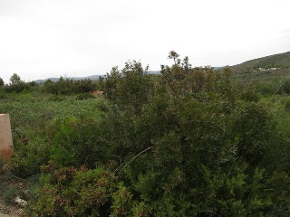 Llanorel 3