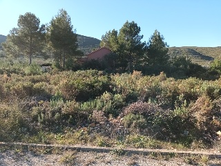 Llanorel 6