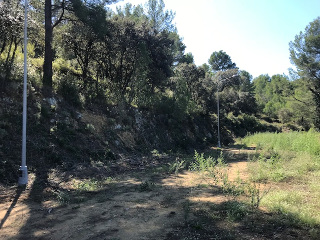 Vallesa 4