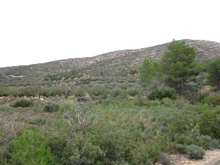 Llanorel 3