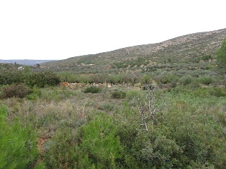 Llanorel 5