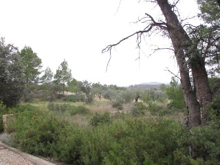Llanorel 3