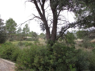 Llanorel 4
