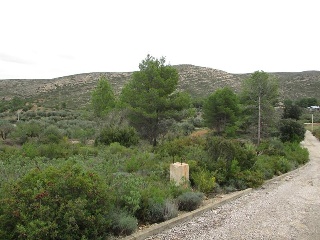Llanorel 3