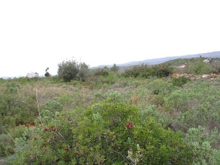 Llanorel 4