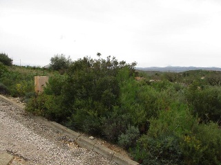 Llanorel 5