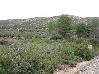 Llanorel 6