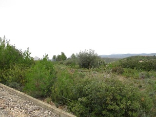 Llanorel 7