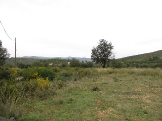 Llanorel 4