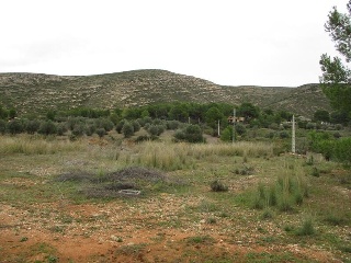 Llanorel 5