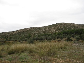 Llanorel 6