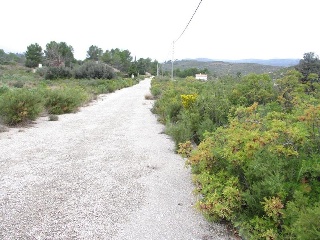 Llanorel 4