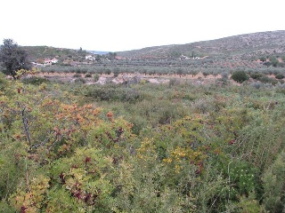 Llanorel 6
