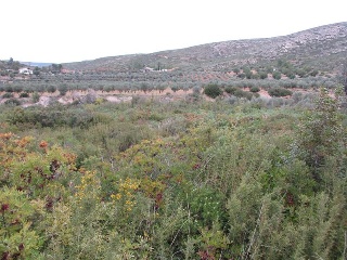 Llanorel 7