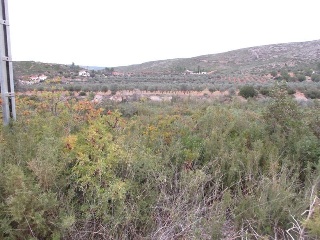 Llanorel 8