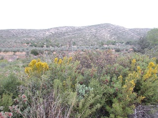 Llanorel 9