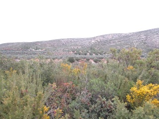 Llanorel 10