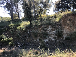 Vallesa 2