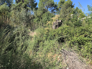 Vallesa 3