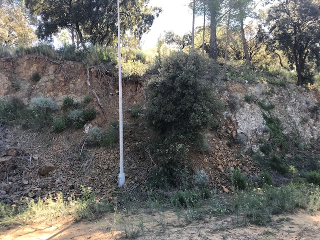 Vallesa 2