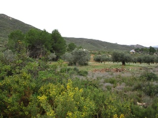Llanorel 3