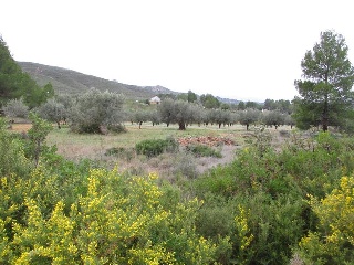 Llanorel 4