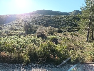 Llanorel 6