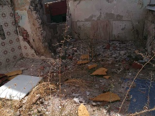 Cedazo Alto 4