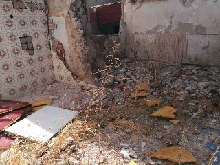 Cedazo Alto 5