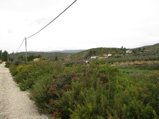 Llanorel 4