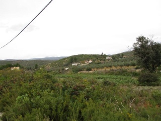 Llanorel 5