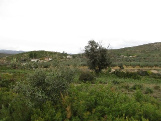 Llanorel 7