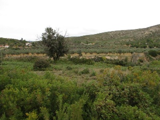 Llanorel 8