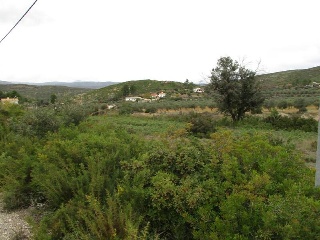 Llanorel 9