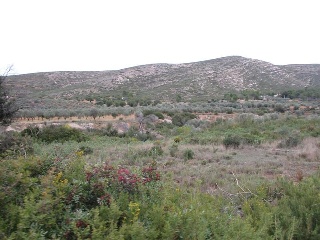 Llanorel 10