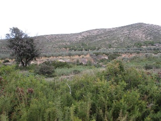Llanorel 11