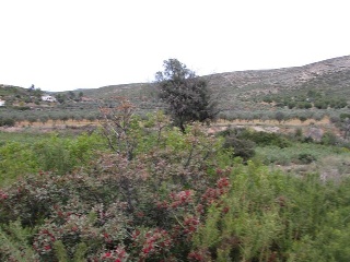 Llanorel 12