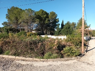 Llanorel 15
