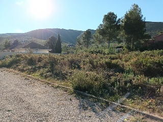 Llanorel 3