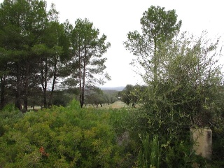 Llanorel 8
