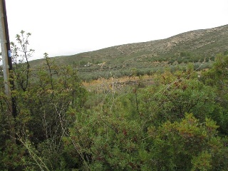 Llanorel 3