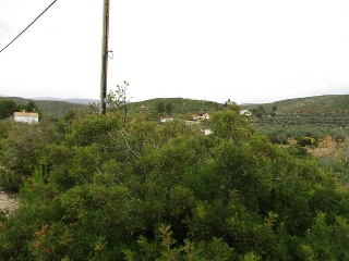 Llanorel 4