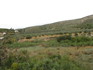 Llanorel 5