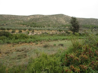 Llanorel 6