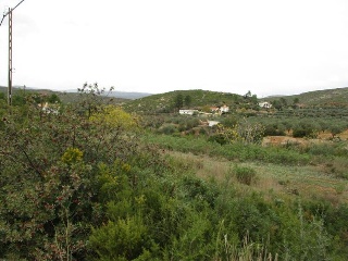 Llanorel 7