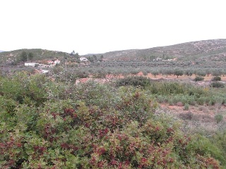 Llanorel 9