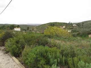 Llanorel 10