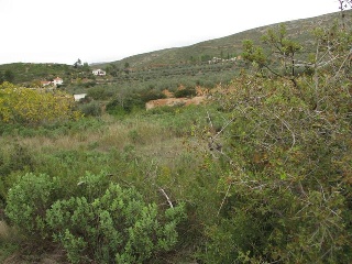 Llanorel 11